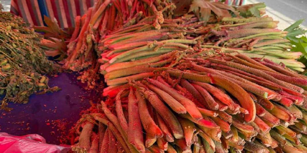 Şifası dilden dile dolanıyor, kendisi zor bulunuyor! Bu bitki tezgahta dakikalar içinde tükeniyor… 3